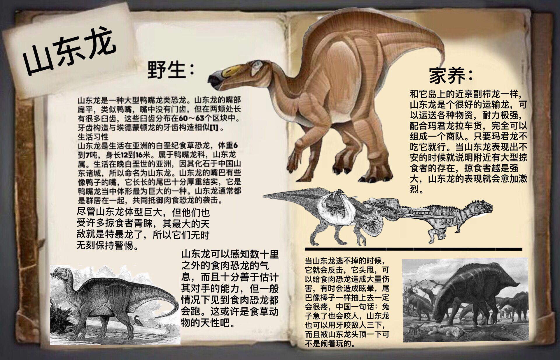 方舟自创生物:山东龙