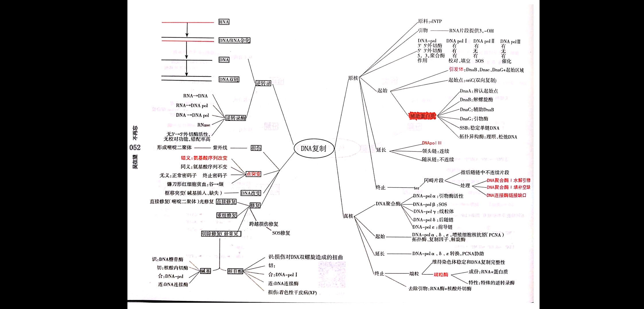 生化思维导图(2)
