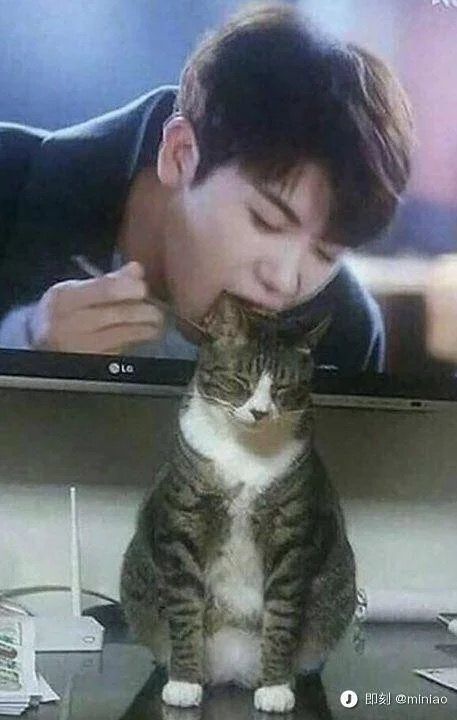 网络上那些爆笑的沙雕图の 第一期