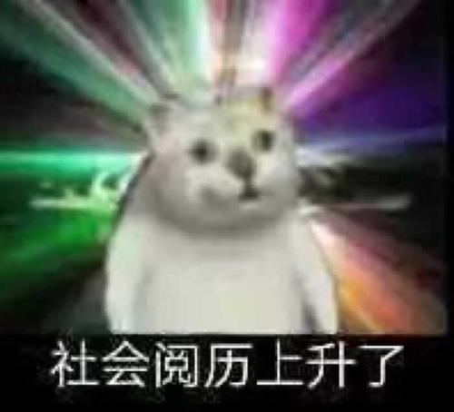 这两天不是很闲嘛,我就窝在家里搓星际 这几天,我就在苦练大主教