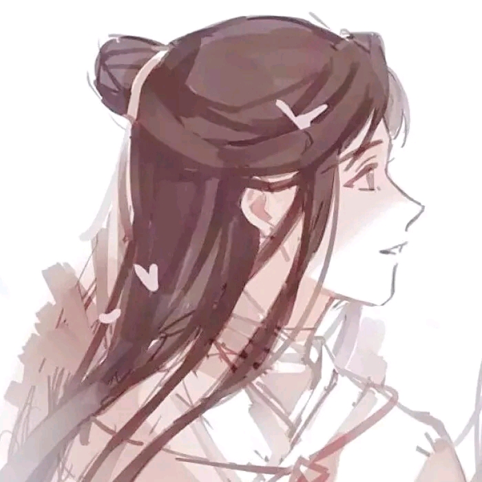 《天官赐福 》谢怜花城百年爱
