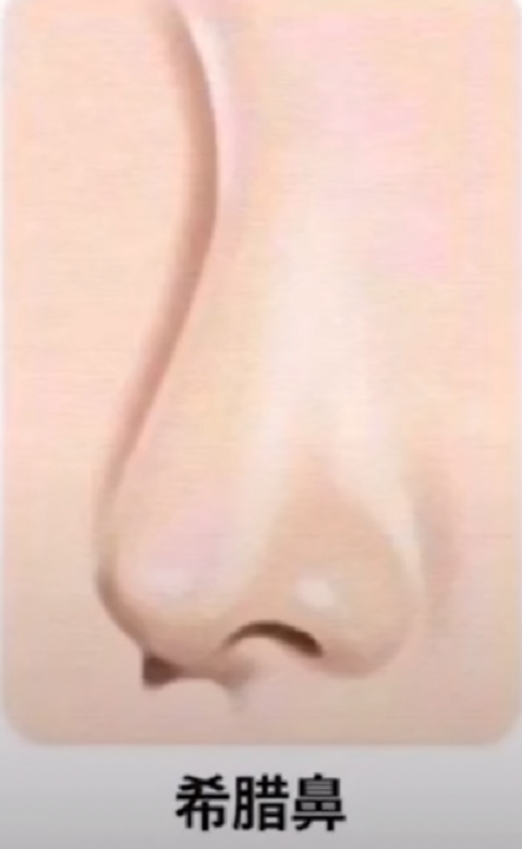 哪种鼻形好看