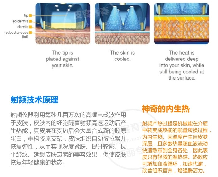大豆美容的效果原理是什么_大豆是什么豆图片(3)