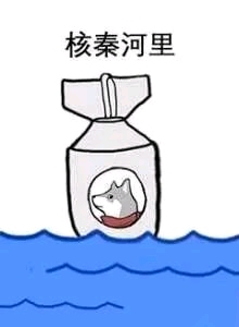 这合理吗?(quin表情包)