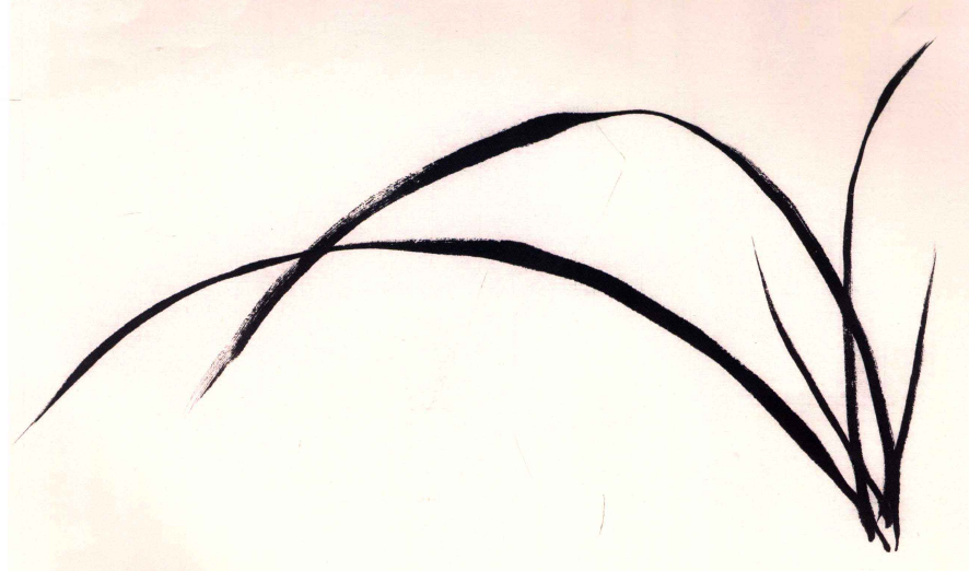 中国画水墨兰花-节奏韵律-画里少儿美育学习画兰草,最重要的是画兰叶