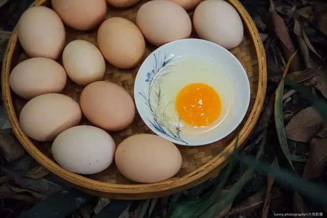 真正的土鸡蛋比普通鸡蛋产量少,而价格也相对高些.