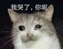 81405984b781d716dcacd8e0195c8bcb49cff7b3.png