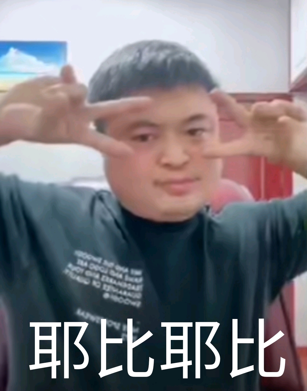 丽丽阿姨表情包(二)
