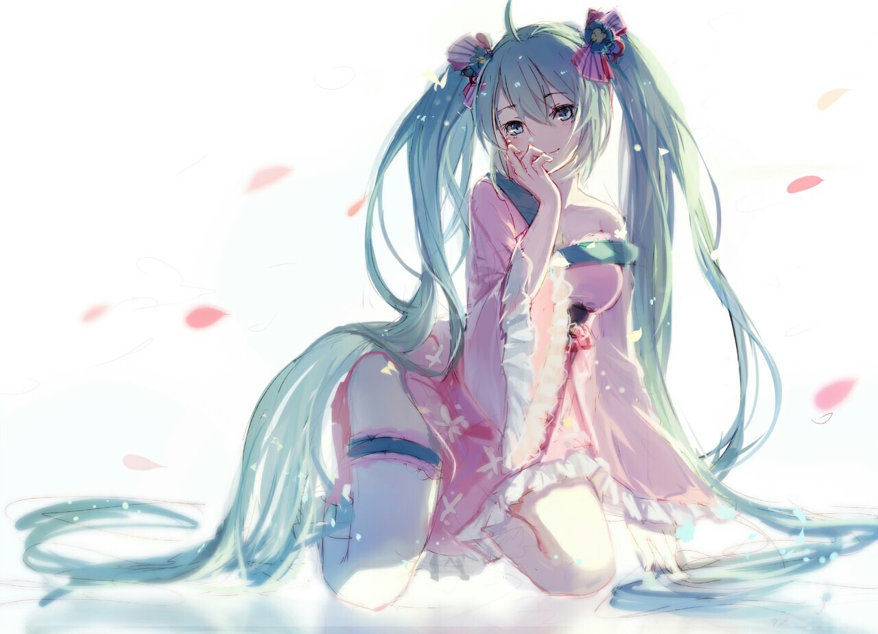 初音未来照片分享