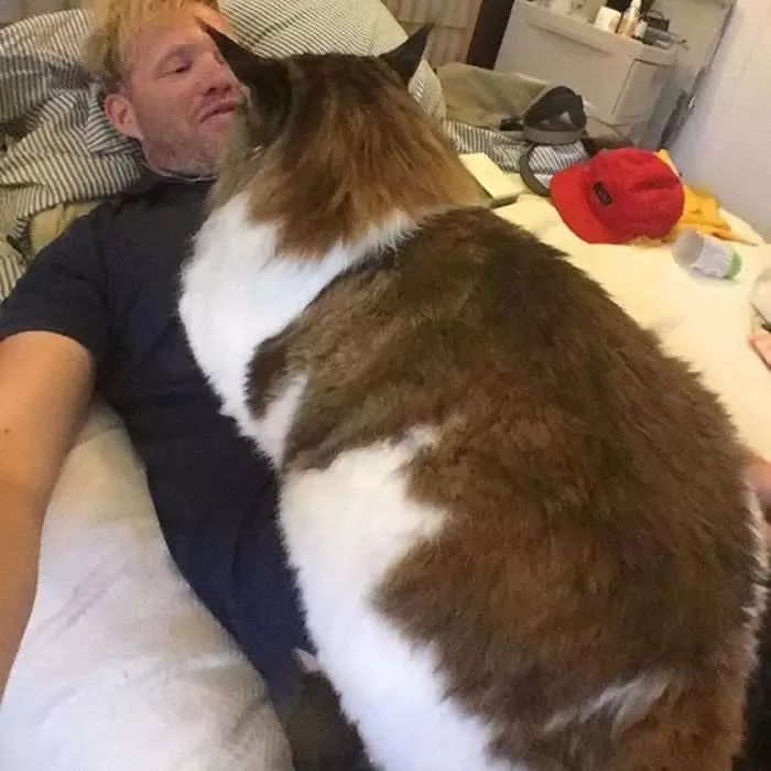 (感觉下面的人类已经快要窒息了)