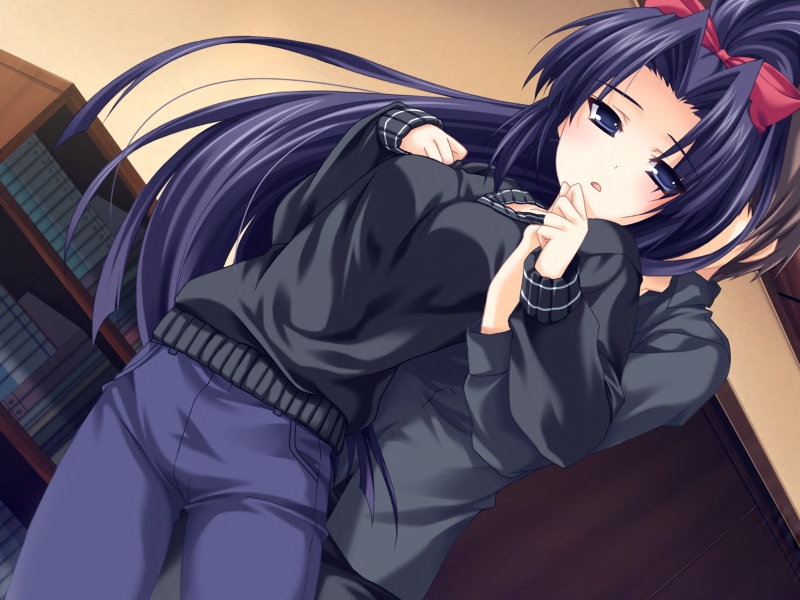 [cg]《永不消失的彩虹 fandisc》