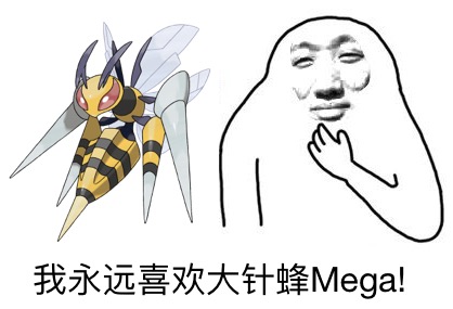 mega大针蜂研究