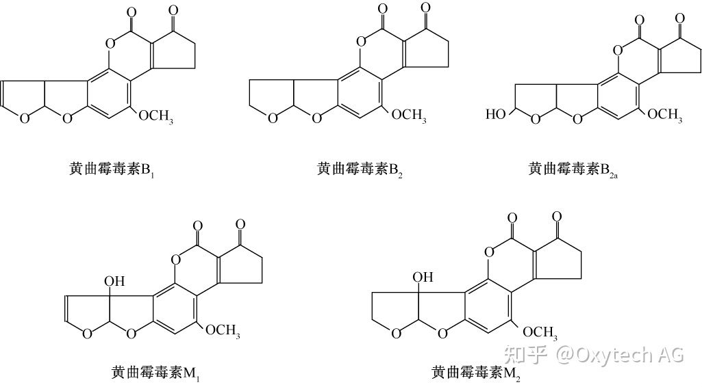 黄曲霉毒素分子结构