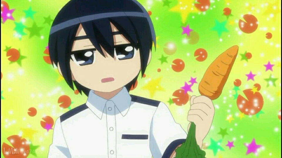 【科普】关于宝石宠物的几十个事实!