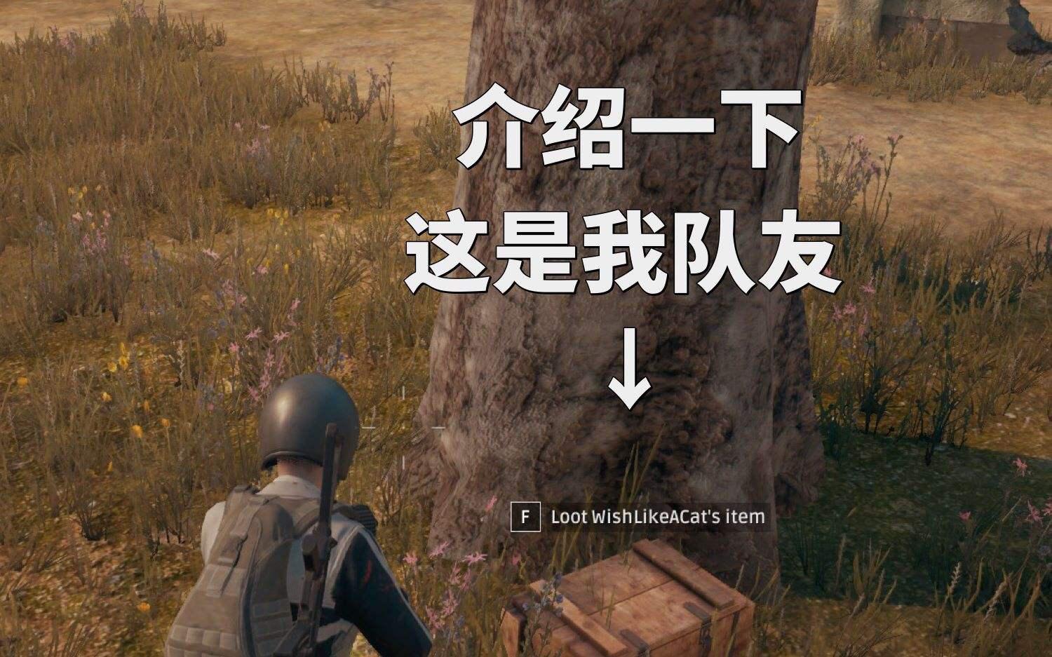 安静的做一个国语,躺在电影的枪战上看着盒子队友.猫和老鼠动画片大电影大腿版爱奇艺图片