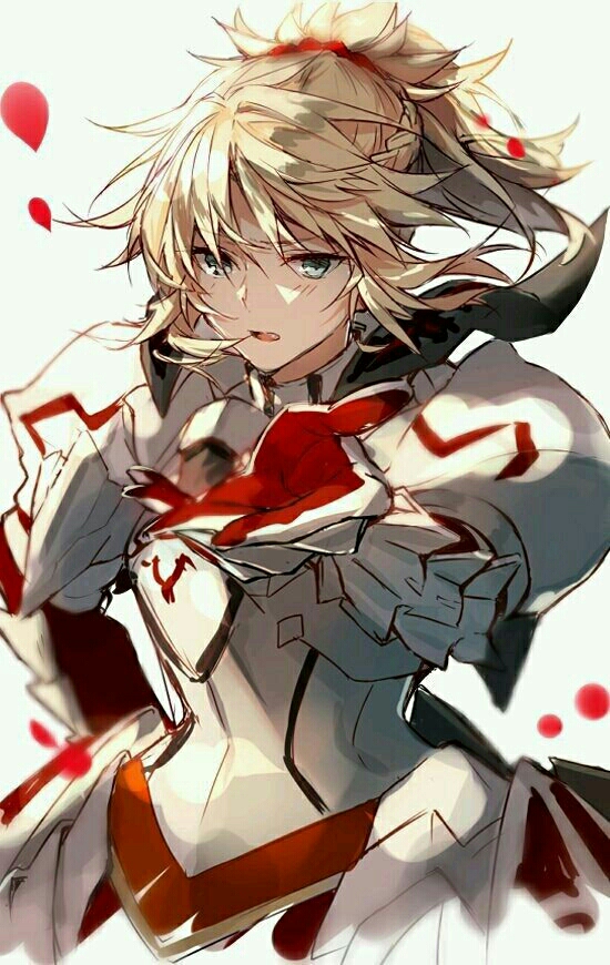 《fate/apocrypha》莫德雷德超清壁纸40张(内附5张狮子劫与小莫合图)