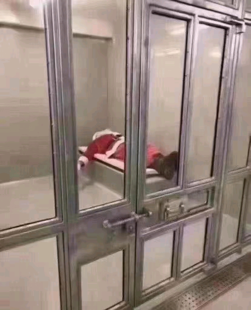 圣诞节 圣诞老人 已隔离 (搞笑图片)