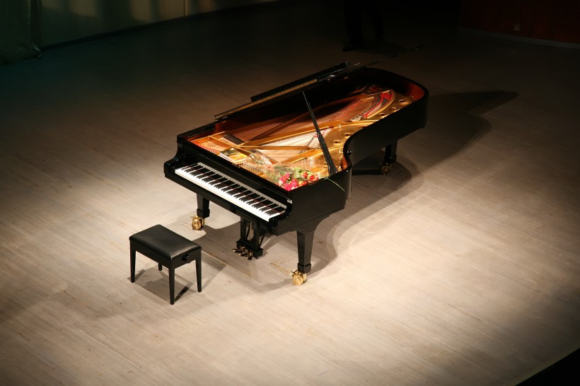 音乐人生—国际钢琴评委"谈"钢琴(三)丨布什戈尔茨钢琴