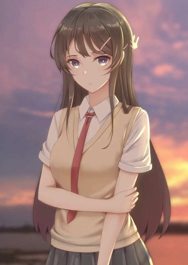 《青春猪头少年不会梦到兔女郎学姐》青春期症候群