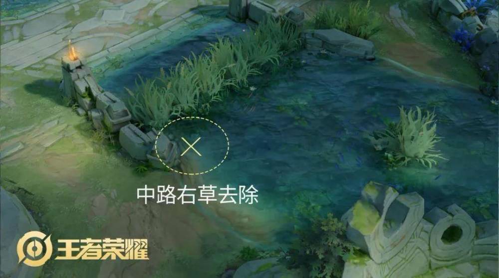 王者荣耀:峡谷地图大更新,全新兵种,花式蹲草