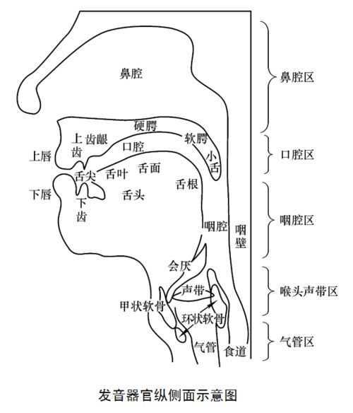 男声共鸣:喉腔共鸣,胸腔共鸣 b.女声共鸣:鼻腔共鸣,咽腔共鸣 c.