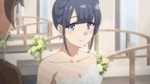 第六卷青春猪头少年不会梦到怀梦美少女第二章她的未来规划④