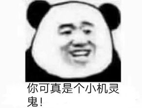 生活 日常 熊猫头表情包 粉丝:5.2万文章:44