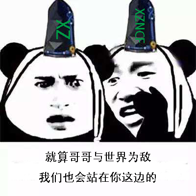 反肖战表情包