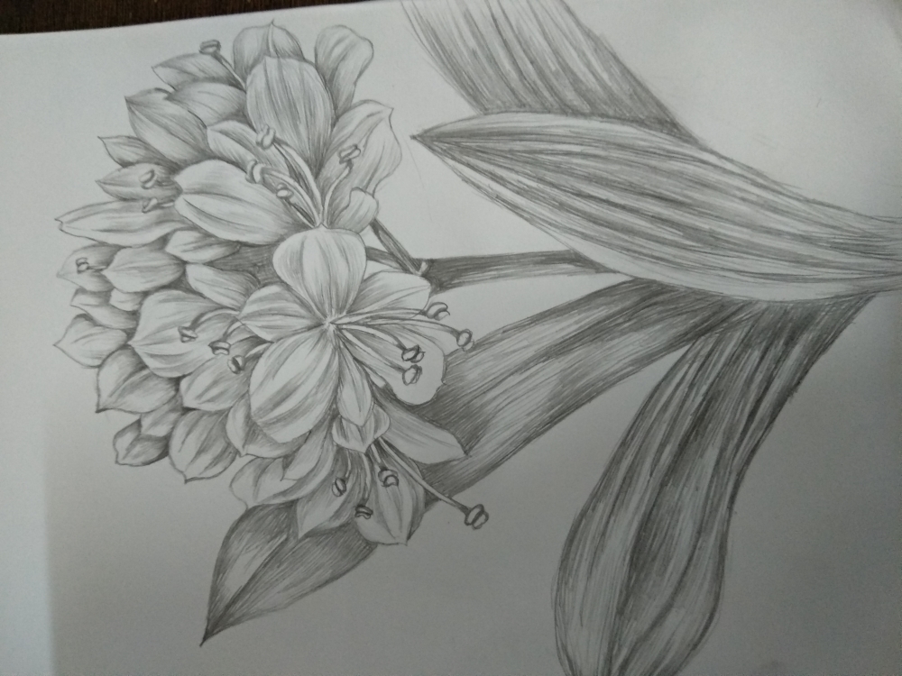 自动铅笔画