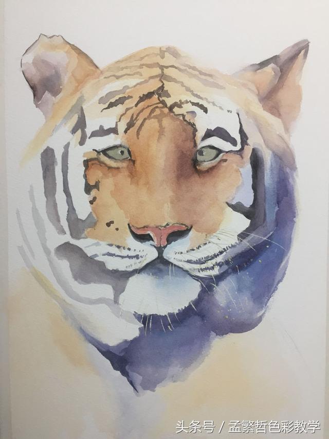用水彩画老虎你见过吗?