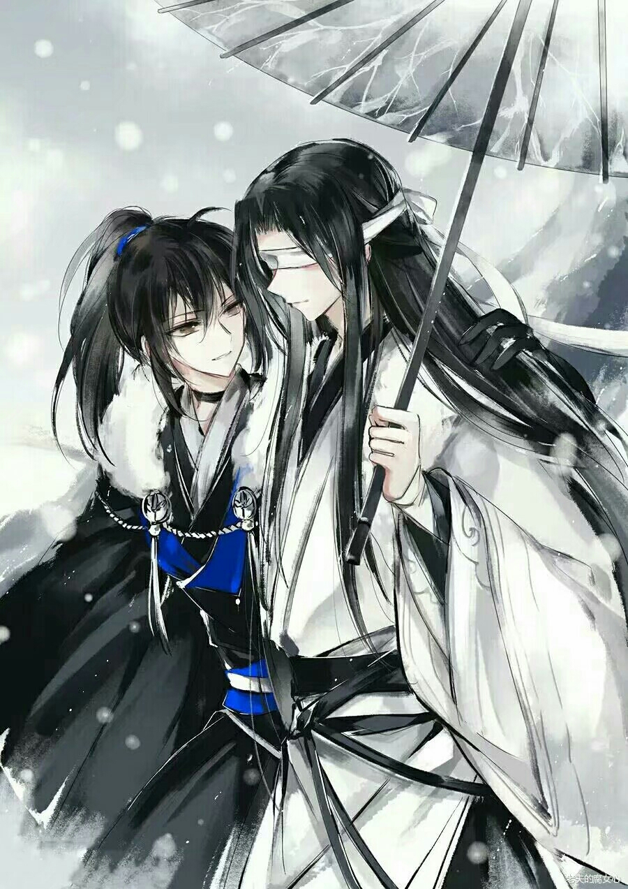 『墨香铜臭《魔道祖师》中喜欢的句子』
