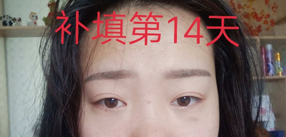 85432a32625b565445a4a8c584a764e9f552656b.jpg