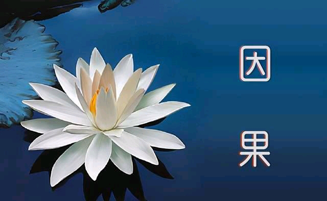 虚云老和尚"因果"二字,是一切圣凡,世间出世间,都逃不了的