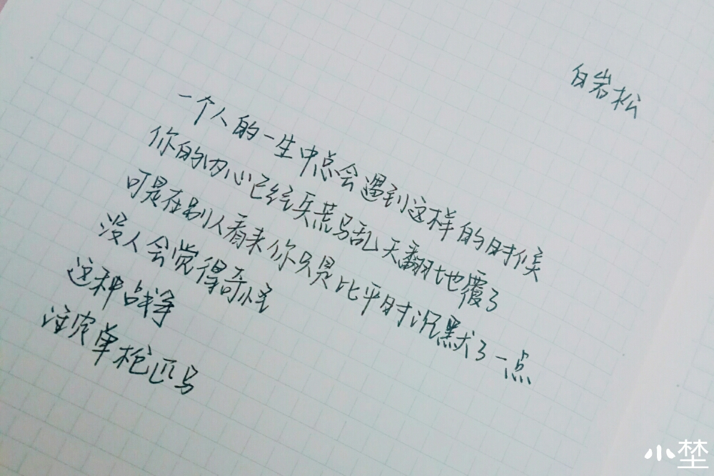 看到好的句子我就会抄在我的日常手帐本上 一半抄诗一半拼贴