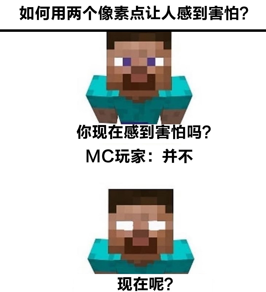 只有mc玩家才懂的梗图④