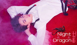 【hp n.d 夜龙