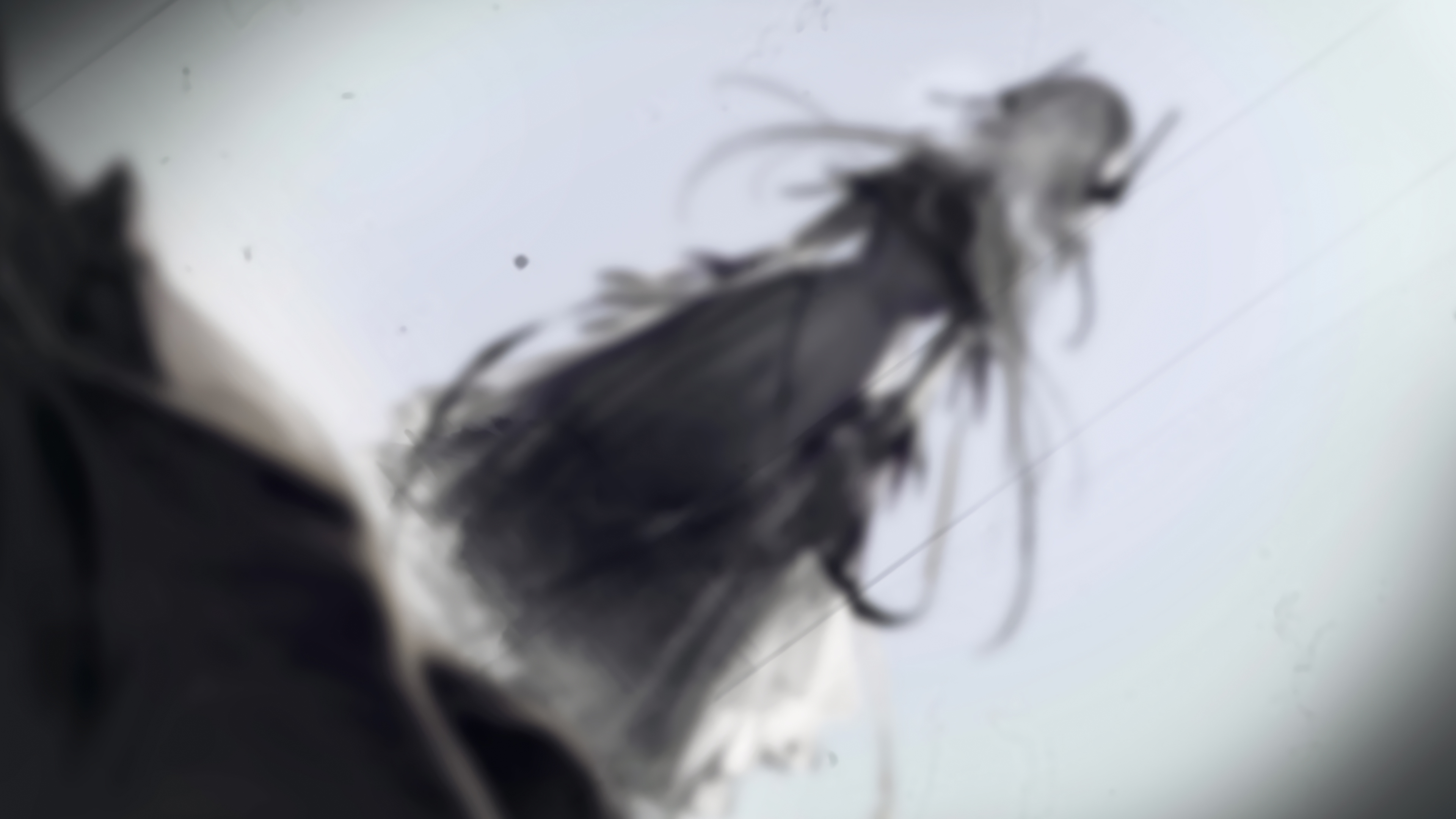 明日方舟生于黑夜剧情cg插画壁纸4k像素放大调色
