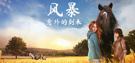 风暴 勇敢的骑手