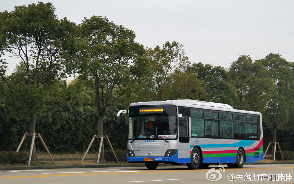 生活 日常 上海公交现存涂装一览 此涂装基本为机场专线使用,因此非