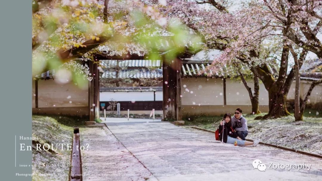 樱の沁魂 京都的"花见"漫游图鉴