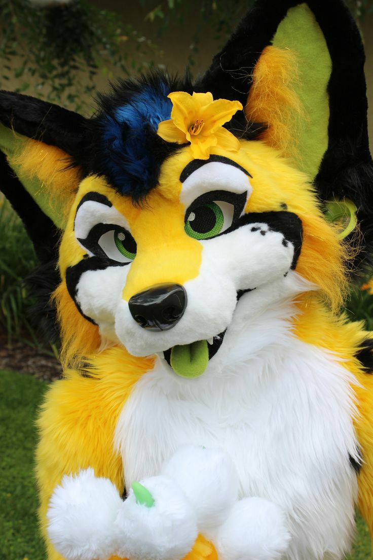 本文禁止转载或摘编 狐狸 兽人 兽装 fursuit furry