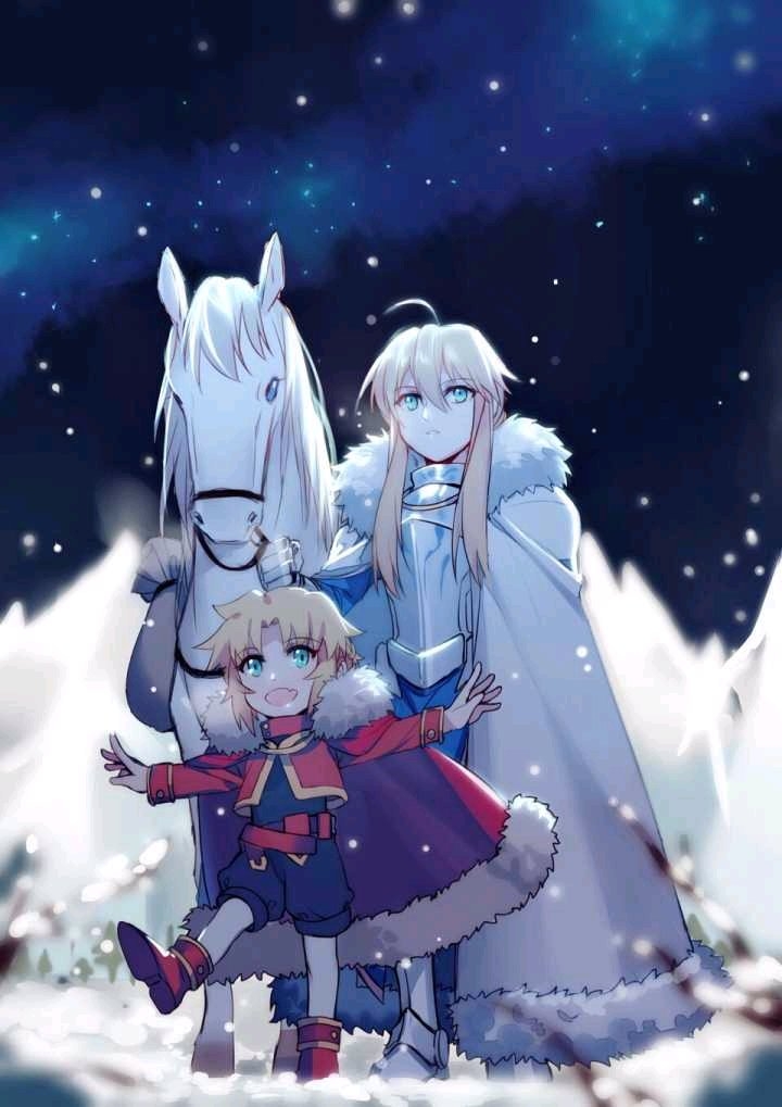 《fate/grand order》阿尔托莉雅※莫德雷德