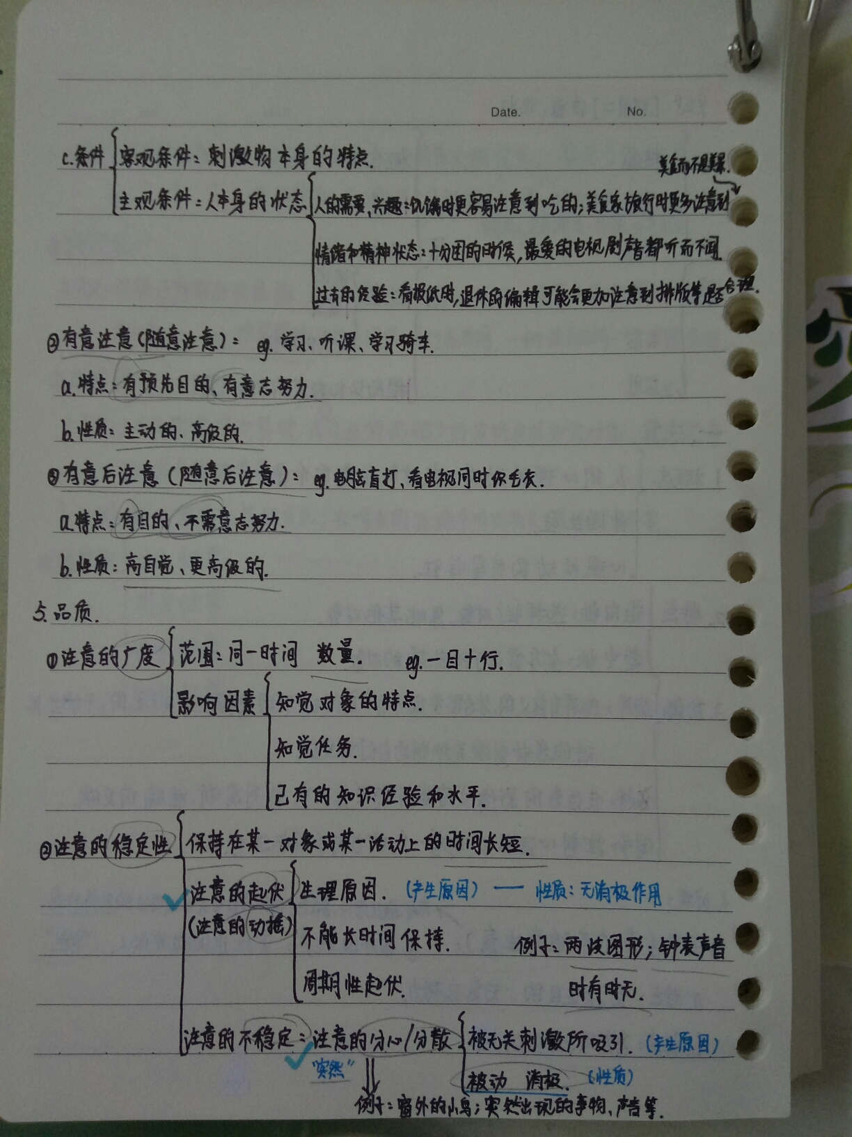 87e93ef5c2834adc71a05e05f7ecc1bef6d49ccc.jpg