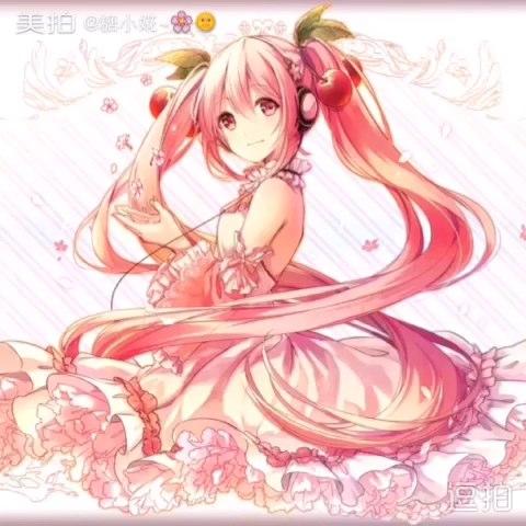 2图片初音未来樱初音