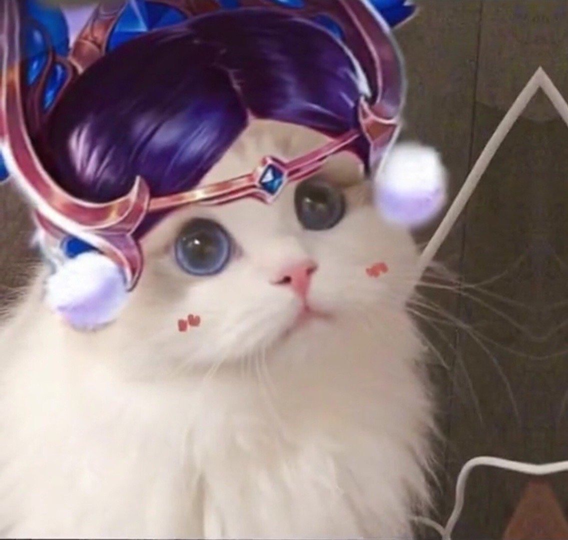 王者荣耀猫猫头像第八期
