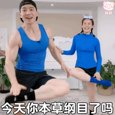 表情包今天也是刘畊宏女孩
