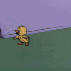 240_240gif 动态图 动图