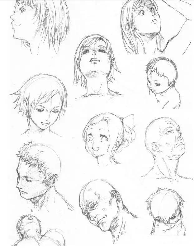 「插画教程」人物画法之头部画法教程