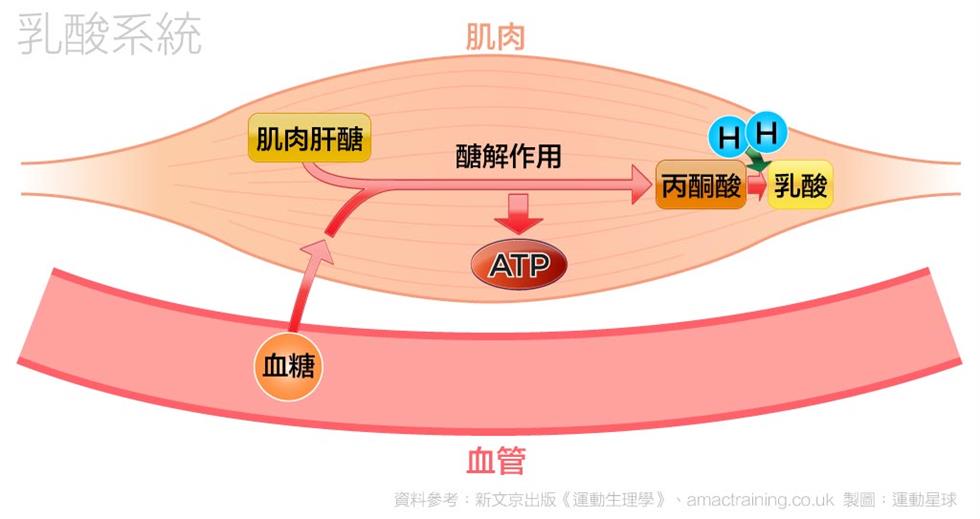 产物:乳酸   能量 优点:atp的生成比有氧系统快 缺点:血液中乳酸堆积