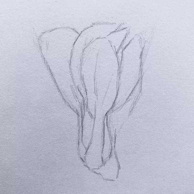 初学者素描步奏讲解教